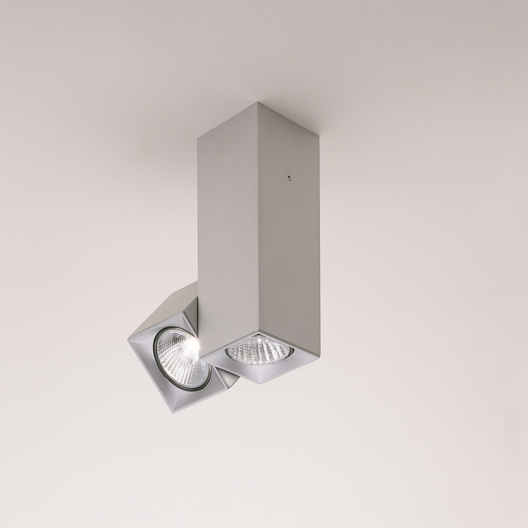 Milan Iluminacion Dau 2/3 Light Adjustable Spot Light| Image : 1