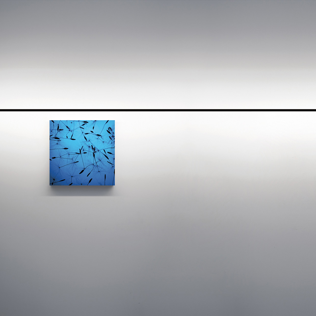 Davide Groppi Infinito LED Wall & Ceiling Light| Image:5