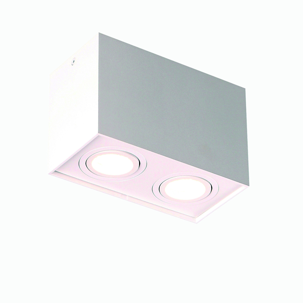 MX Light Basic Square Double Adjustable Ceiling Light| Image:0