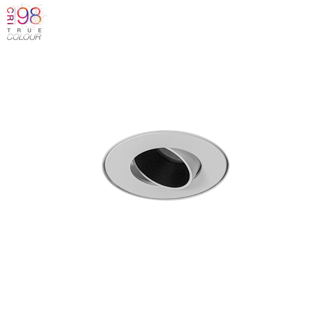 Small diameter led store downlights ip65