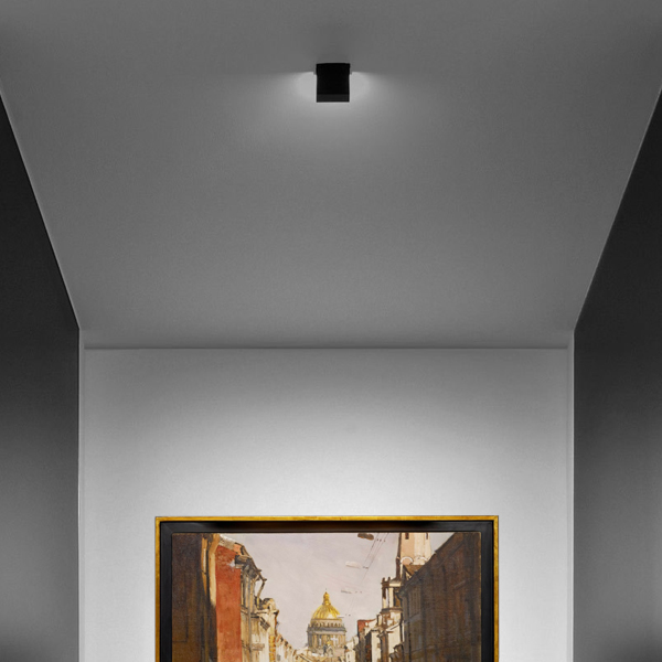 Art & Gallery Lighting: Ceiling mounted wall washing light illuminating a wall hung painting