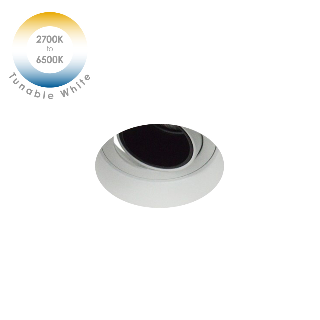 DLD Andes 1-R Tunable White 2700K-6500K LED Adjustable Plaster In Downlight