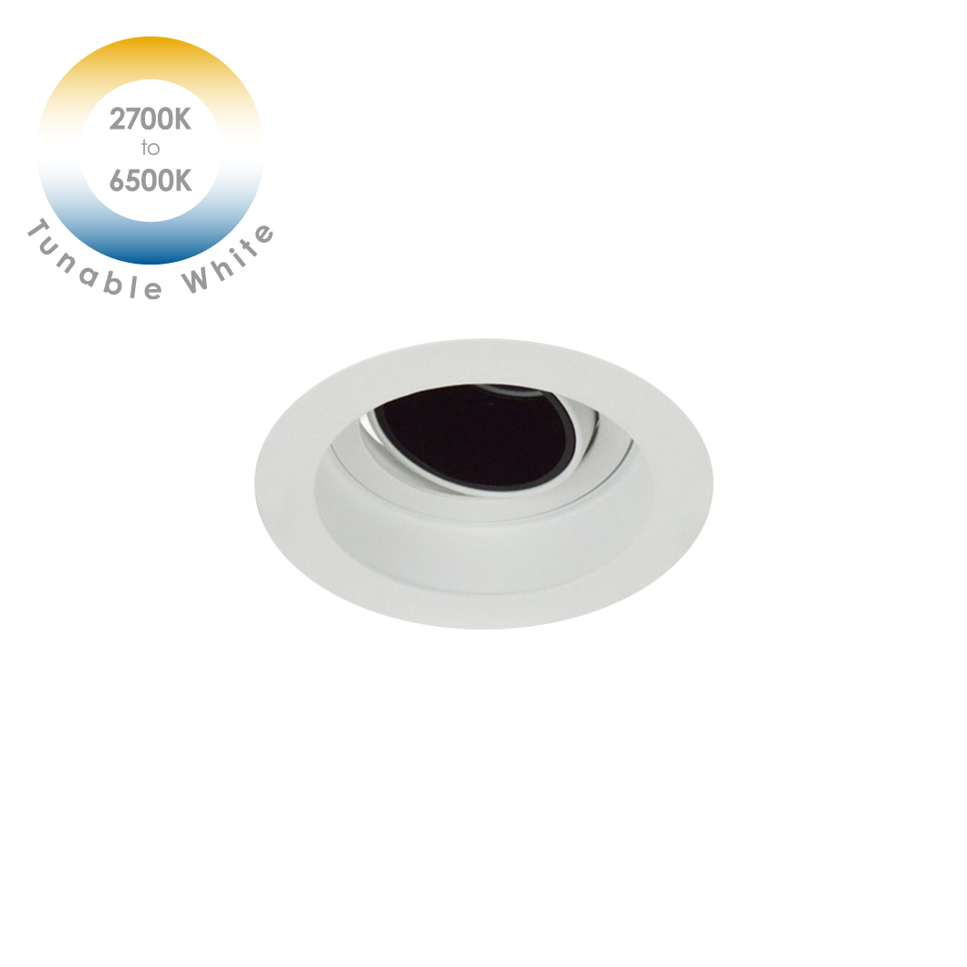 DLD Andes 1-R Tunable White 2700K-6500K LED Adjustable Recessed Downlight