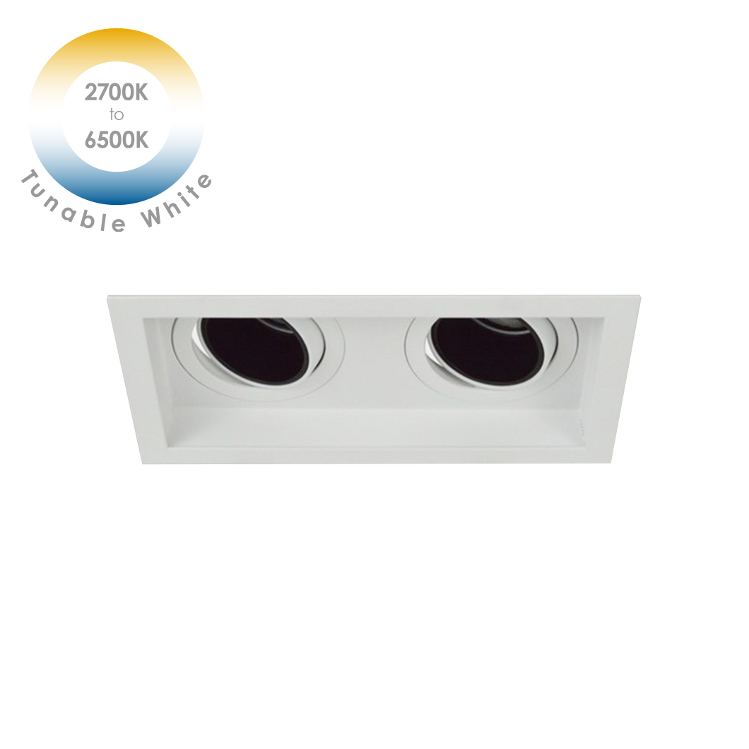 DLD Andes 2 Tunable White 2700K-6500K LED Adjustable Recessed Downlight