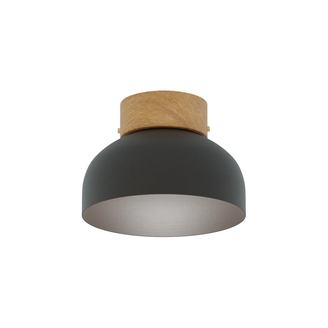 Robin Reiko Ceiling Light