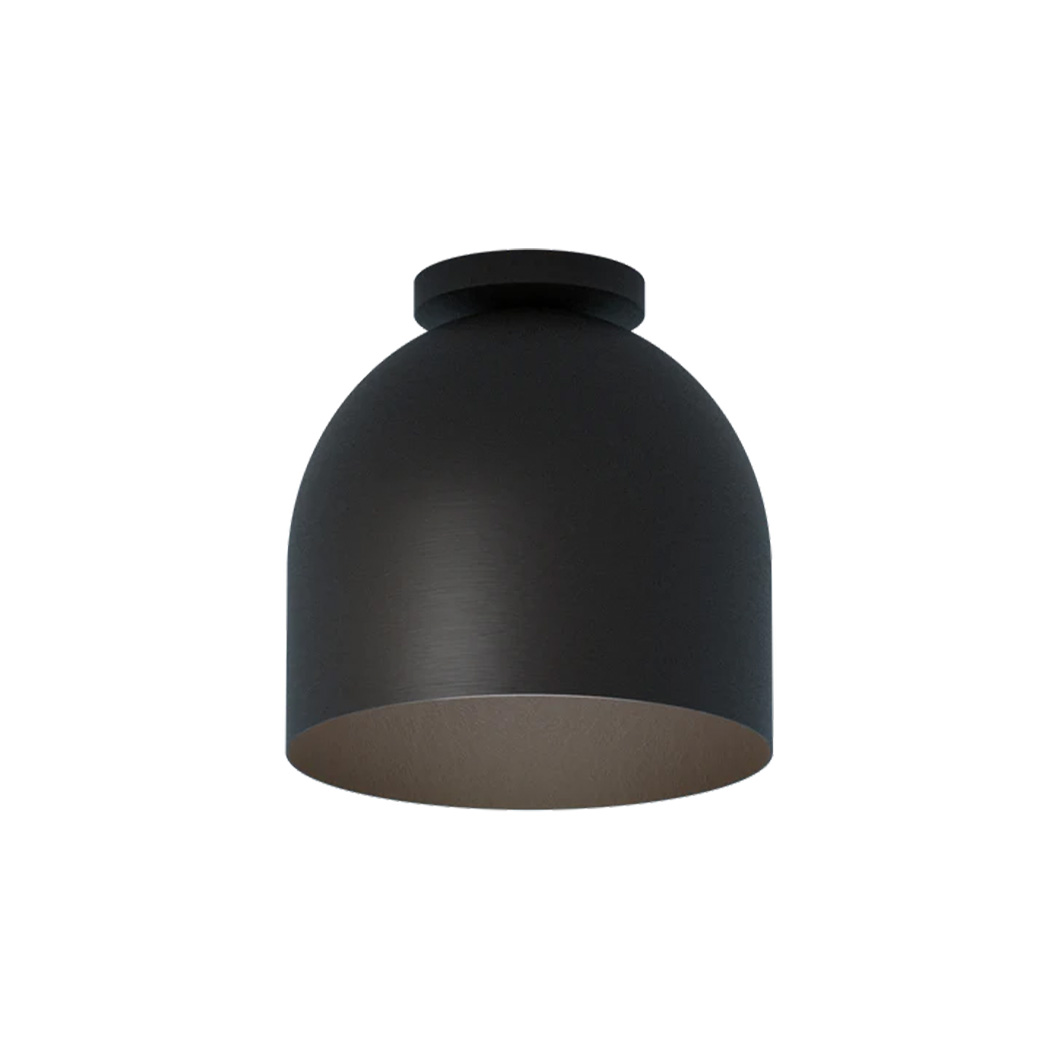 Robin Rio Ceiling Light